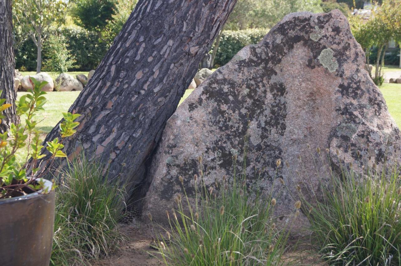 Les Jardins De Santa Giulia - Charmante Chambre D'Hote Porto-Vecchio  Bagian luar foto